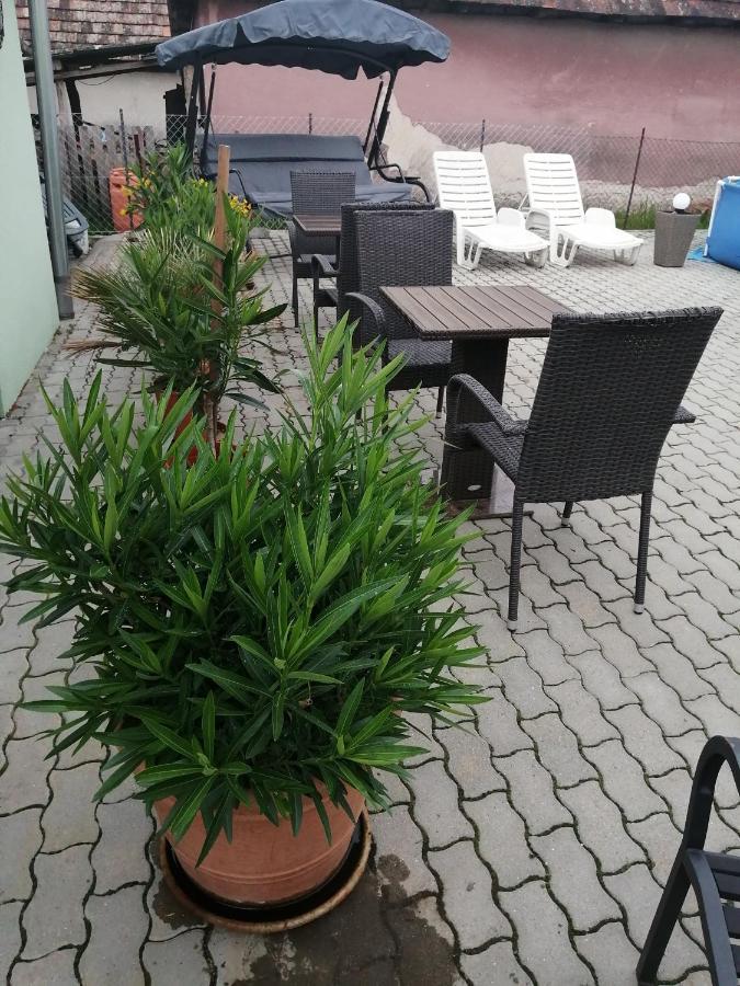 Attila Vendeghaz Tapioszentmarton Hotel Екстериор снимка